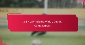 Read more about the article 3-1-4-2 Principles: Width, Depth, Compactness