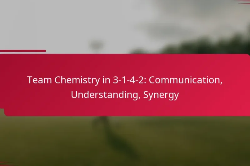 Team Chemistry in 3-1-4-2: Communication, Understanding, Synergy