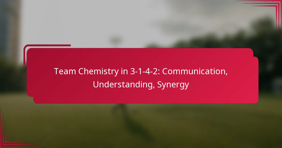 Read more about the article Team Chemistry in 3-1-4-2: Communication, Understanding, Synergy