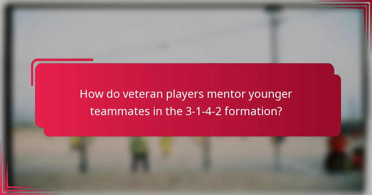 How do veteran players mentor younger teammates in the 3-1-4-2 formation?