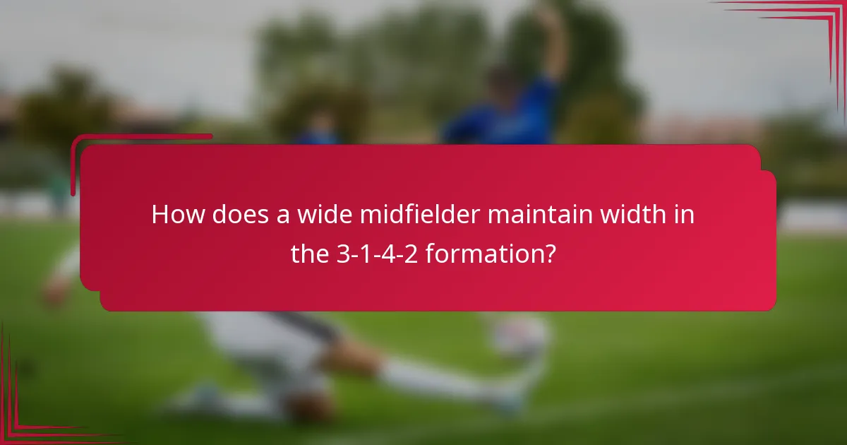 How does a wide midfielder maintain width in the 3-1-4-2 formation?