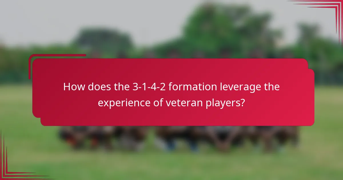 How does the 3-1-4-2 formation leverage the experience of veteran players?