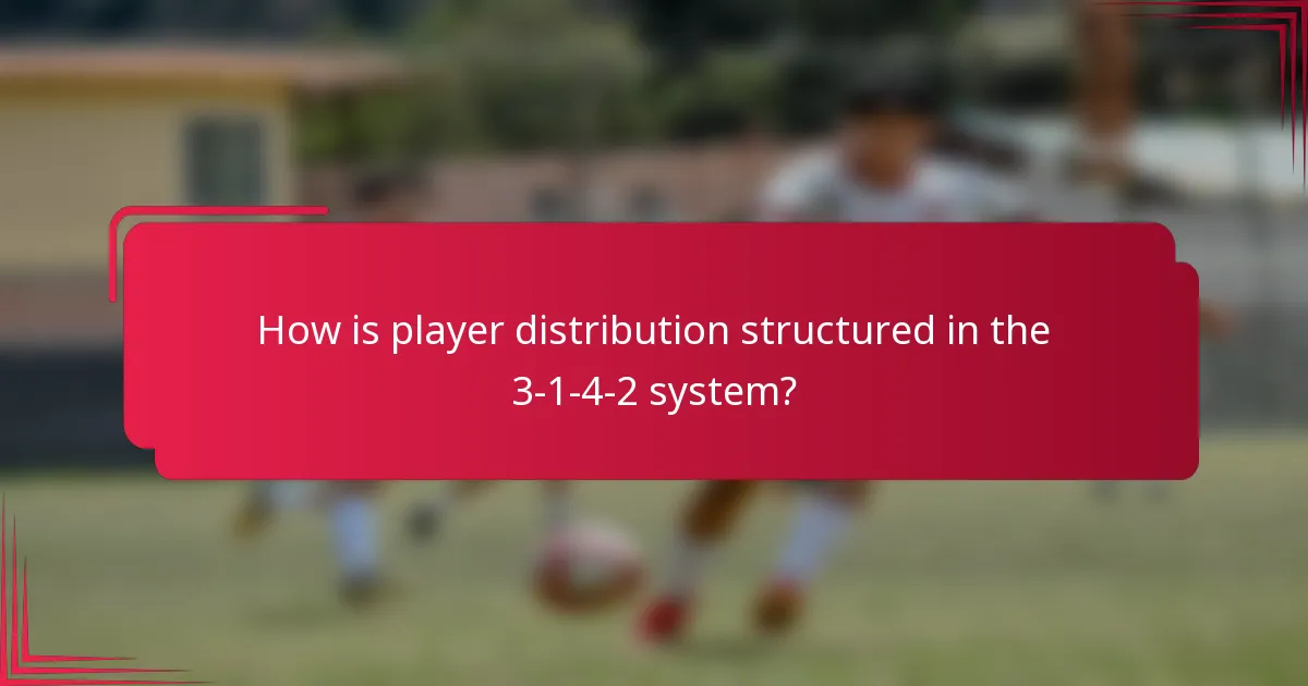 How is player distribution structured in the 3-1-4-2 system?