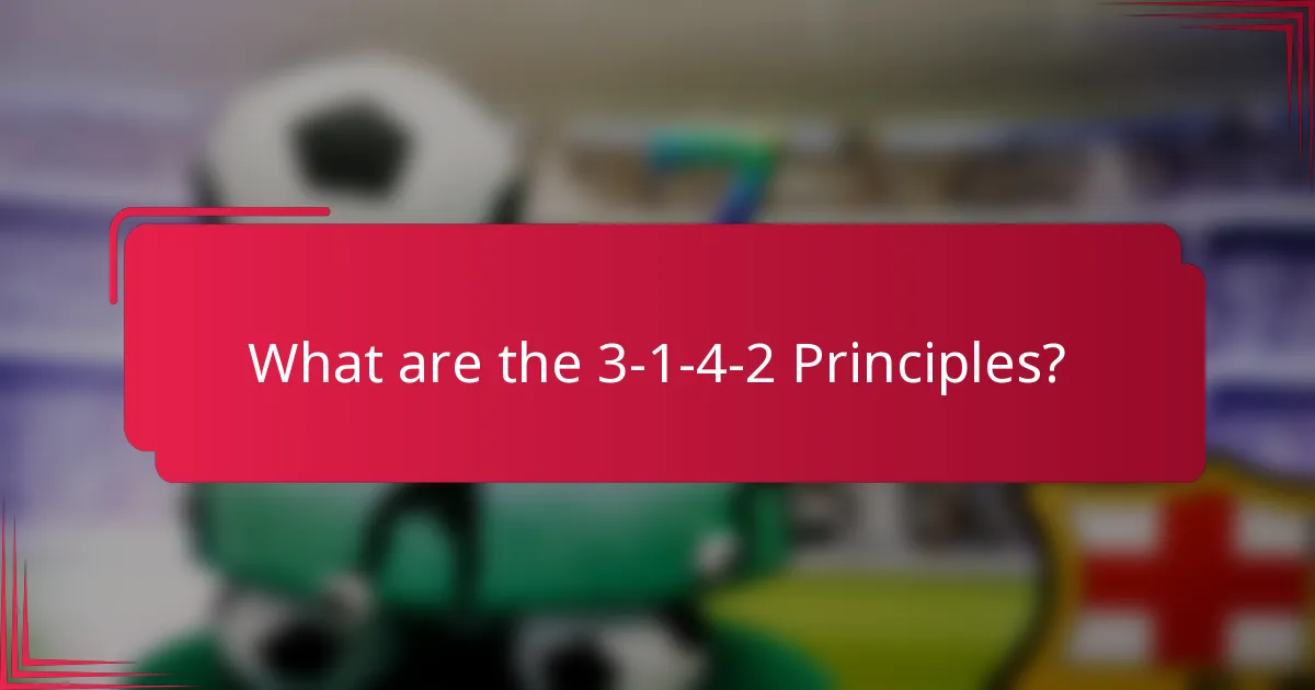 What are the 3-1-4-2 Principles?