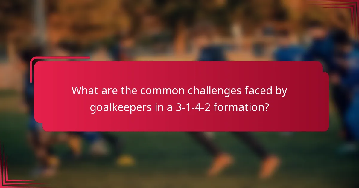 What are the common challenges faced by goalkeepers in a 3-1-4-2 formation?