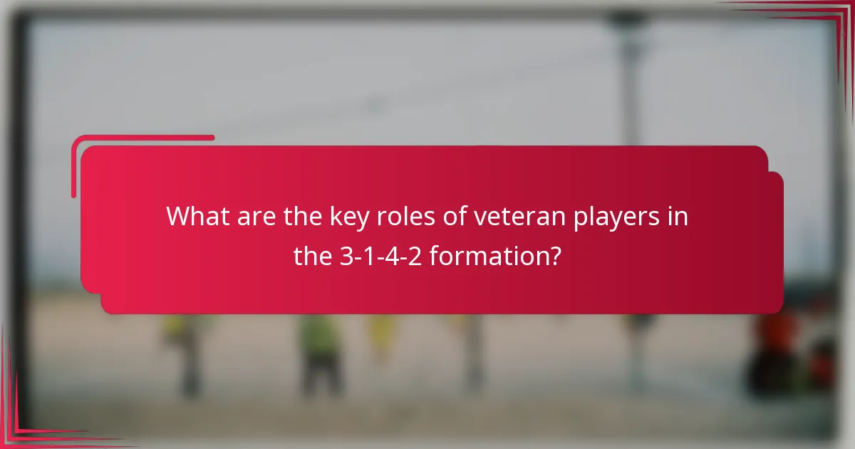 What are the key roles of veteran players in the 3-1-4-2 formation?