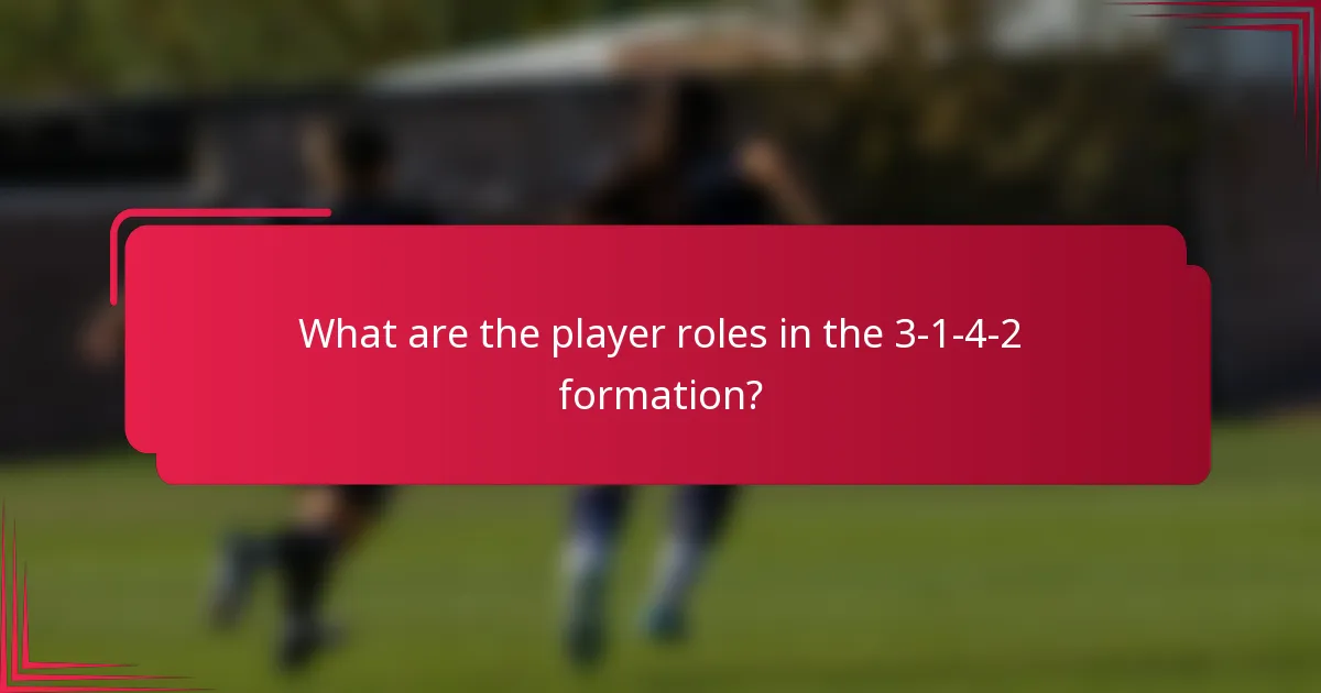 What are the player roles in the 3-1-4-2 formation?