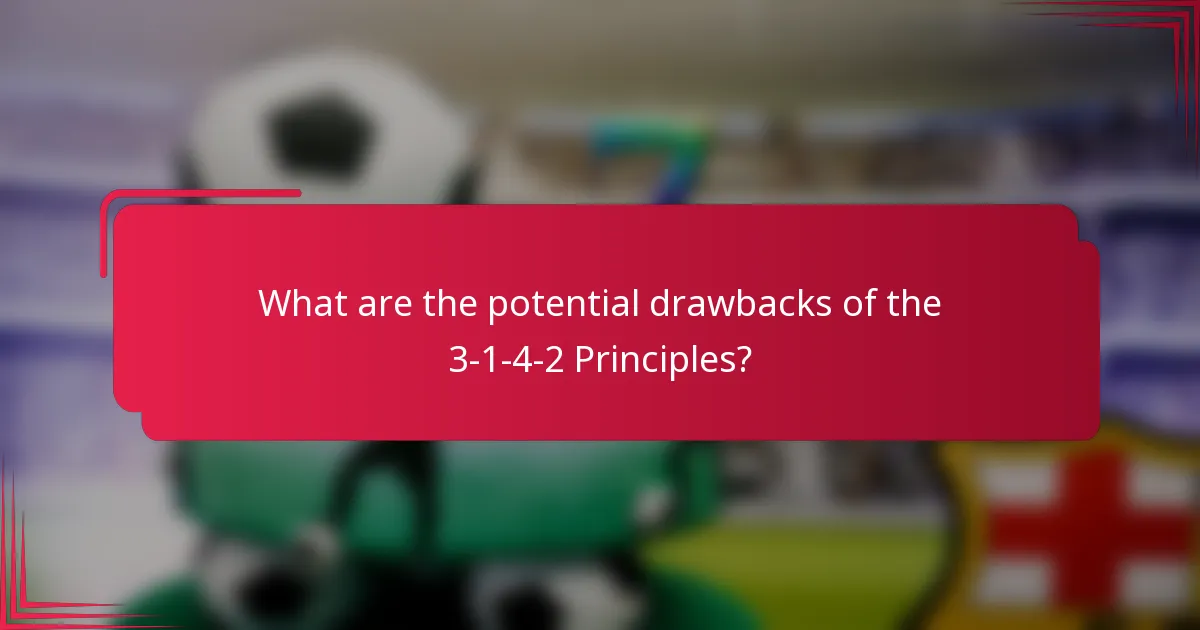 What are the potential drawbacks of the 3-1-4-2 Principles?