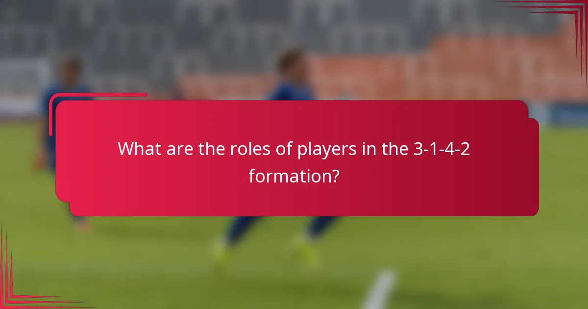 What are the roles of players in the 3-1-4-2 formation?