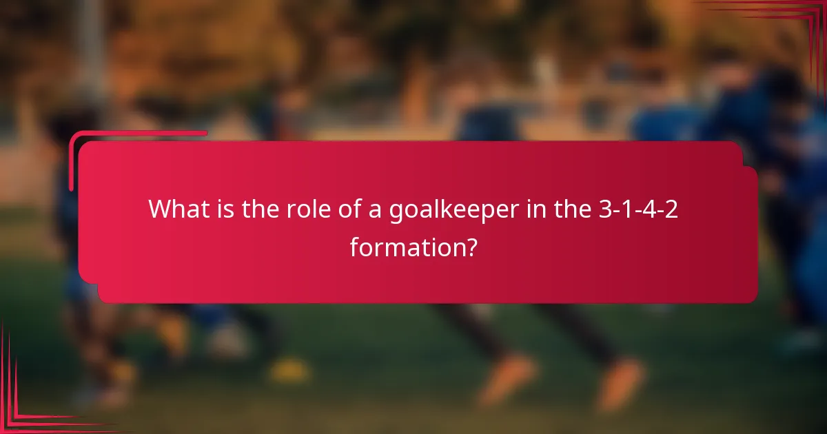 What is the role of a goalkeeper in the 3-1-4-2 formation?