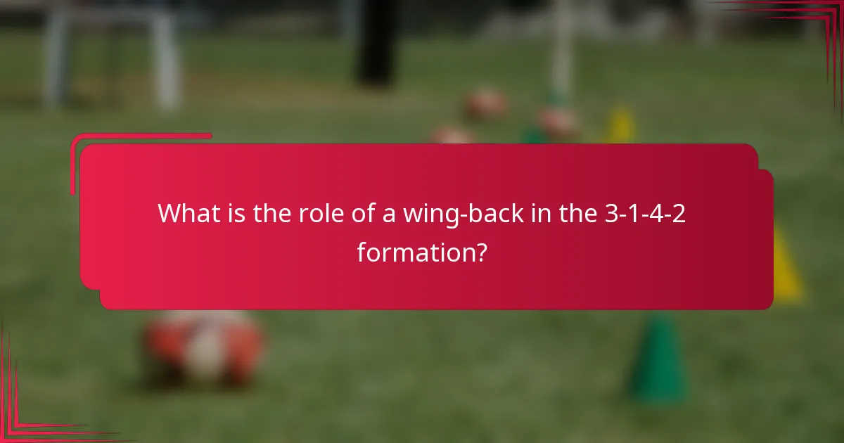What is the role of a wing-back in the 3-1-4-2 formation?
