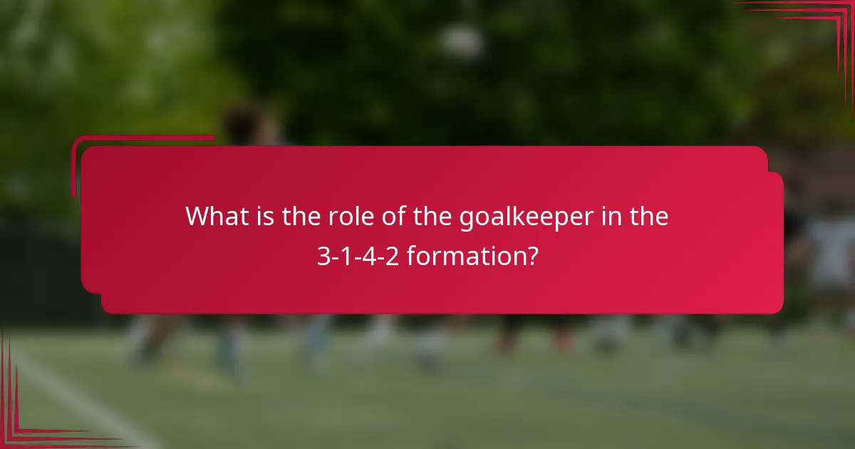 What is the role of the goalkeeper in the 3-1-4-2 formation?