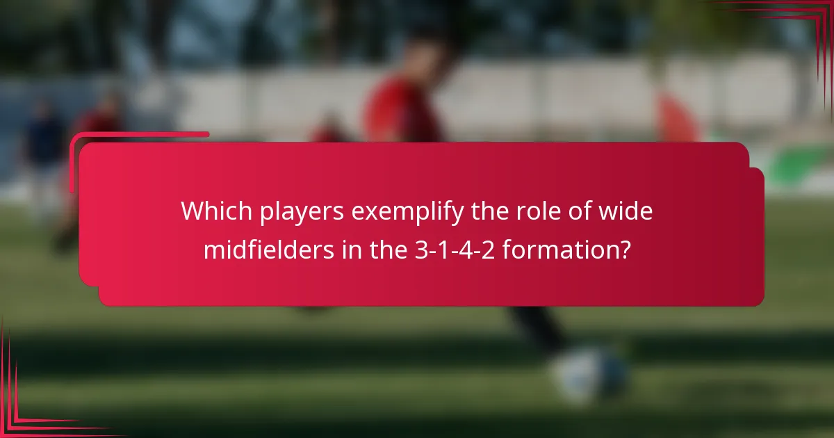 Which players exemplify the role of wide midfielders in the 3-1-4-2 formation?